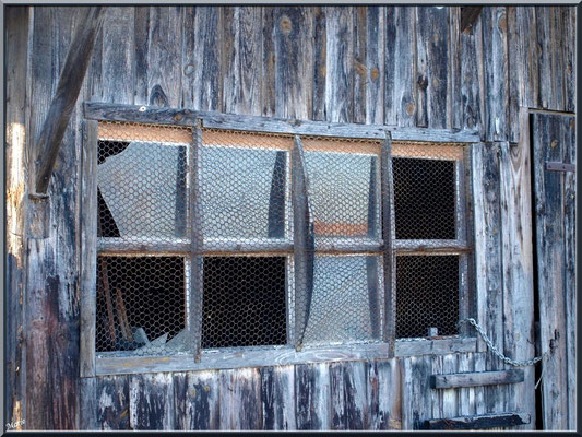 Cabane 63, abandonnée 