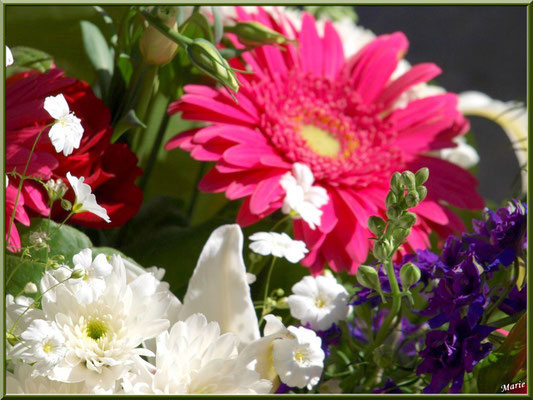 Marché de Provence, samedi matin à Arles (13), étal de fleurs