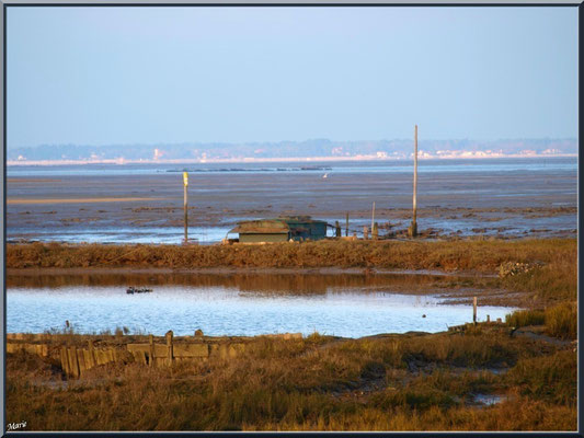 Tonne et son lac en bordure du Bassin à marée basse