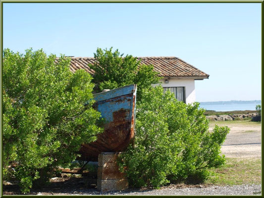 Cabane au vieux bateau 