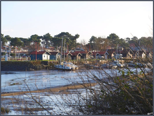 Port à marée basse 