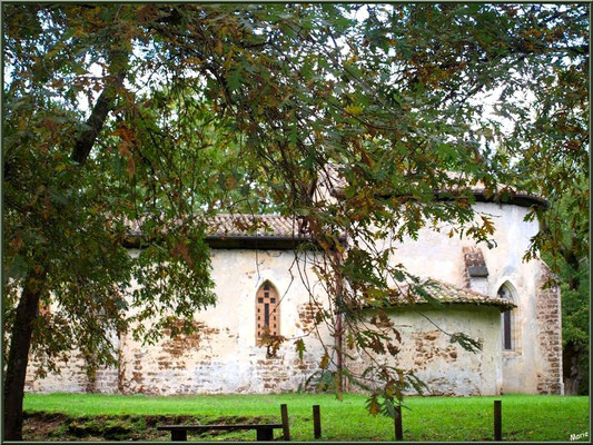 Eglise St Michel du Vieux Lugo à Lugos (Gironde) : façade Sud et le choeur à droite derrière les chênes