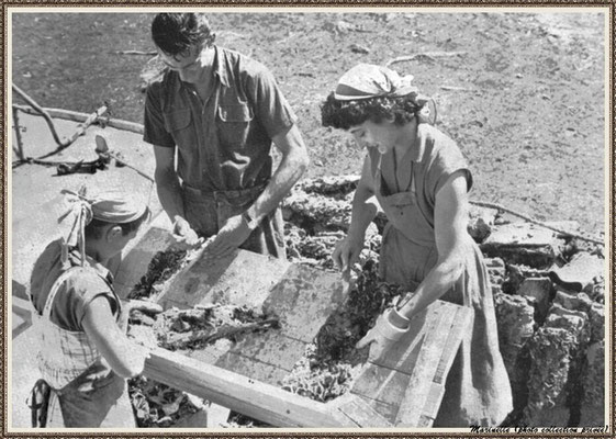 Détrocage des tuiles