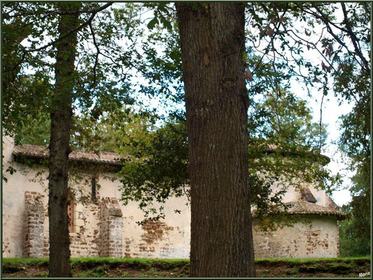 Eglise St Michel du Vieux Lugo à Lugos (Gironde) : façade Sud et le choeur à droite derrière les chênes