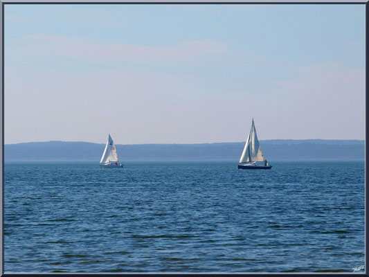 Voiliers sur le Lac de Sanguinet (Landes)