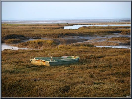 Canot dans les prés salés à marée basse 