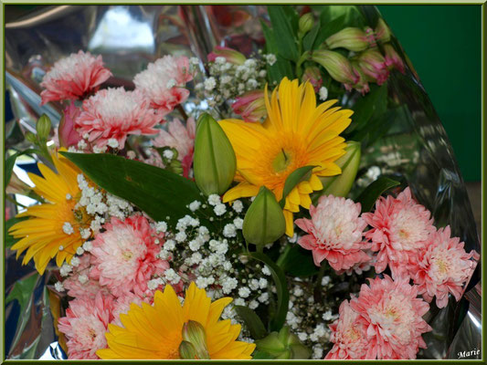 Marché de Provence, samedi matin à Arles (13), étal de fleurs