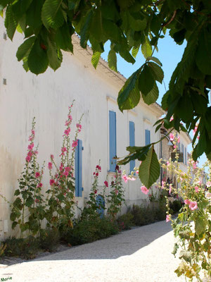 Ruelle et maison à Talmont-sur-Gironde (Charente-Maritime) 