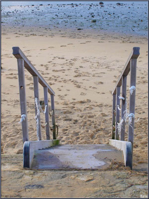 Escalier vers la plage 
