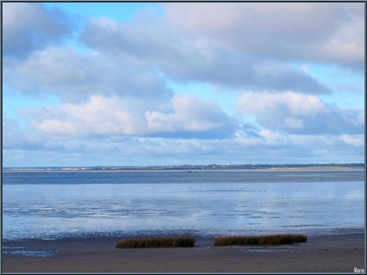 Le Bassin à marée basse, en bordure, avec ciel de traine, vu depuis le Sentier du Littoral, secteur Moulin de Cantarrane, Bassin d'Arcachon