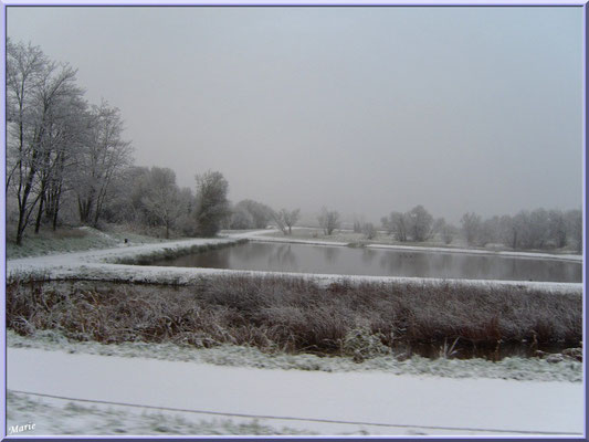 Les prés salés Ouest de La Teste de Buch sous la neige en décembre 2010 (Bassin d'Arcachon)