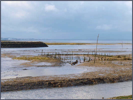 Anciens parc à huîtres, jetée Port Passerelle, Arcachon à l'horizon et le Bassin 