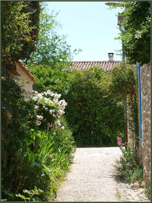 Ruelle fleurie à Talmont-sur-Gironde (Charente-Maritime)