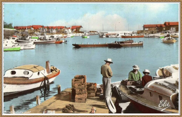 Gujan-Mestras autrefois : Ostréiculteurs au travail dans la darse principale du Port de Larros, Bassin d'Arcachon (carte postale - version couleur 1, collection privée)