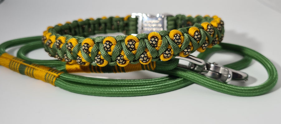 Leine 6mm Premium, Halsband 2cm