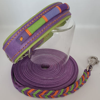 Halsband 40-50cm 85€ Leine 5m 79€