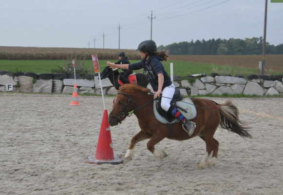 Mounted Games Outdoorspiele