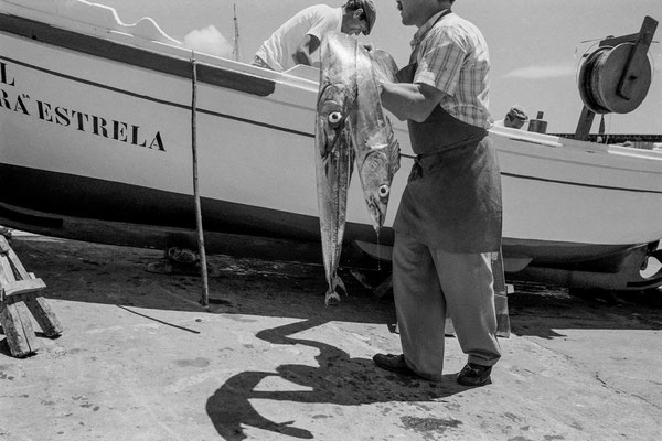 Chegada da pesca, Vila Franca do Campo, São Miguel, 1996.