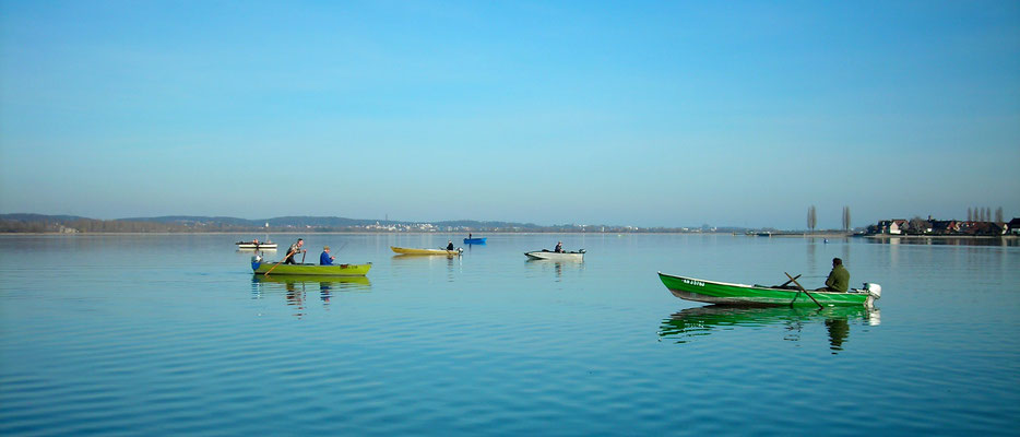 Felchenfischer auf dem Untersee  im Februar.