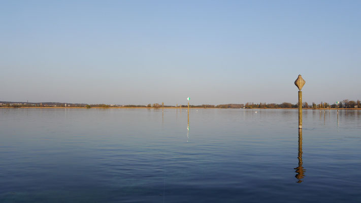 Das Wollmatinger Ried, eine weitläufige Schilflandschaft. Wie ein sandgelbes Band umsäumt das Schilf die Ermatinger Bucht. Rechts mündet der Seerhein in den Untersee. Die Pfähle markieren die Fahrrinne für die Boote. 