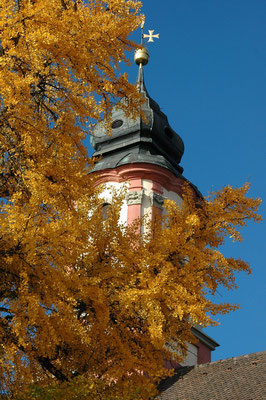 Herbst auf der Mainau.