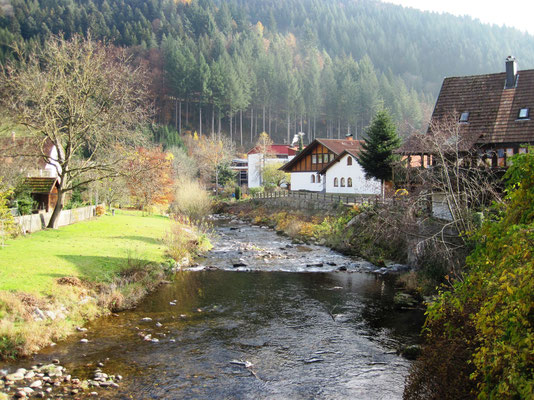 "Oberwolfach lag in einer kleinen Ebene, mit weiten hellen Wiesen und Obstbäumen. Entlang der Straße floss die Wolfach schnell zwischen großen Steinen."