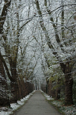 ...und im Winter.