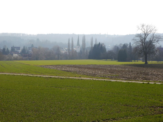 Randegg vom Norden aus. Auf den Hügeln im Hintergrund verläuft die Grenze zur Schweiz.