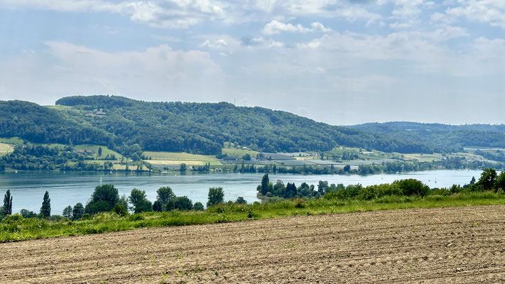 Der Untersee verengt sich hier zum Rhein. Die bewaldeten Hügel auf der anderen Seite gehören zur Schweiz.