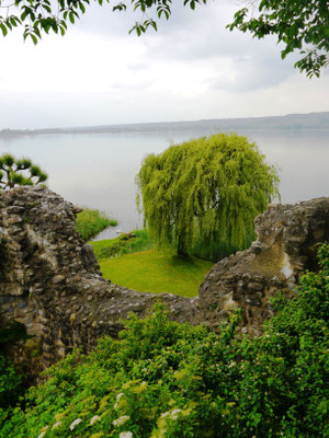 Genauso eine Weide sieht man von Schloss Untersee aus.