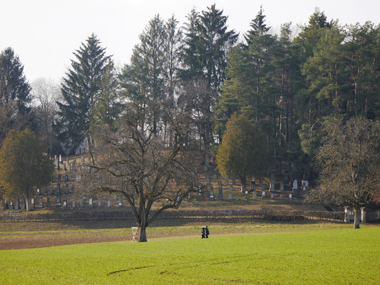 Der Jüdische Friedhof in Wangen. Otto Dix, der zeitweise in Randegg gelebt hat, hat ihn gemalt.
