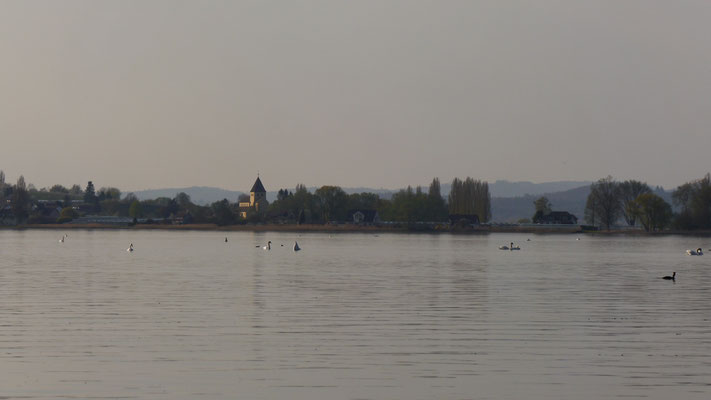 Szenenwechsel: Der Untersee mit der Insel Reichenau im fahlen Frühlingslicht. Die romanische Kirche Sankt Georg ist über 1000 Jahre alt.