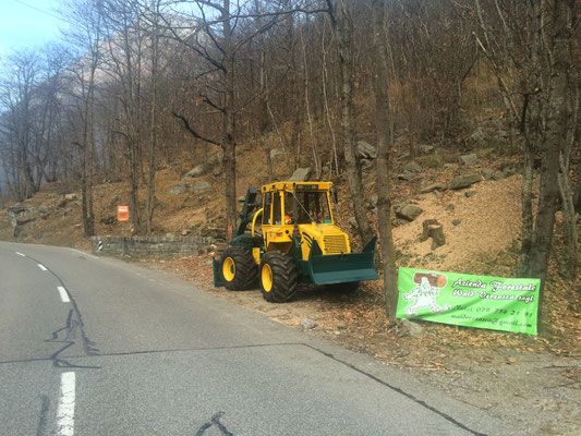 Taglio strada cantonale, Lavertezzo