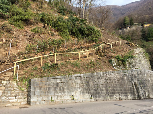 Corrimano in castagno, Ronco sopra Ascona