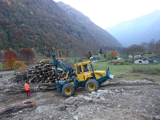 Recupero selva castanile, Gerra Verzasca