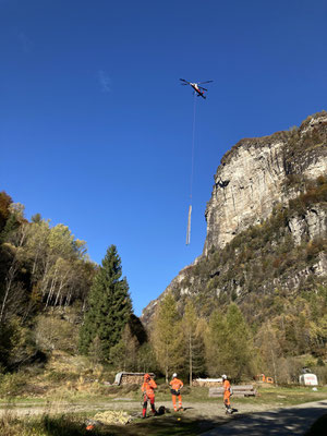 Taglio bosco di protezione, Brione Verzasca