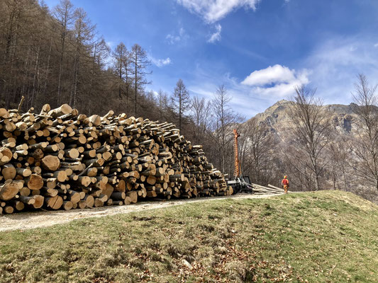 Taglio e esbosco con teleferica mobile, Vald di Frasco