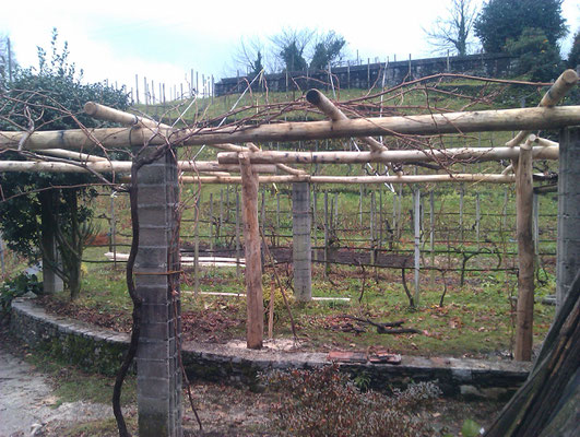 Pergola in castagno, Riazzino