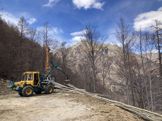 Taglio e esbosco con teleferica mobile, Vald di Frasco