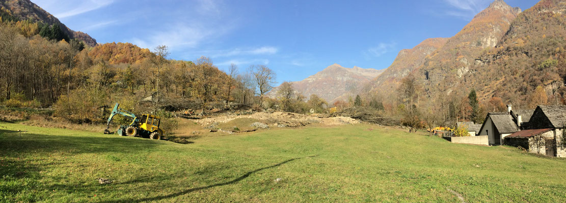Recupero selva castanile, Gerra Verzasca