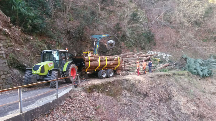 Taglio strada cantonale, Brione sopra Minusio 