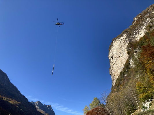 Taglio bosco di protezione, Brione Verzasca
