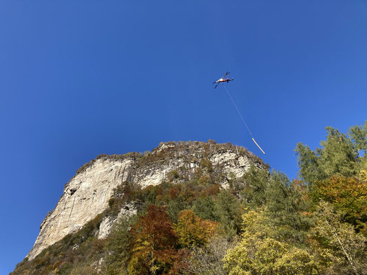 Taglio bosco di protezione, Brione Verzasca