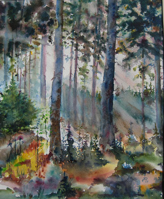 Morgen im Wald II  Aquarell 2013  44x36 cm