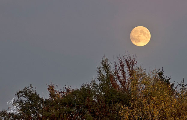 Herbst-Mond  -26.Okt.15-