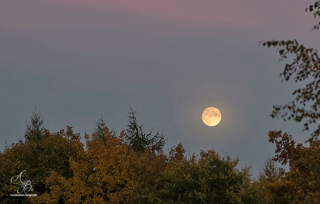 Herbst-Mond  -26.Okt.15-