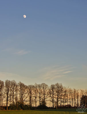 -Januar14-
