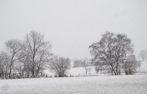 Der  Winter ist noch nicht vorbei  -März15-