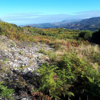 Omgeving van arqueta 3