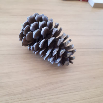 de sparappel van buiten na 1 week binnen